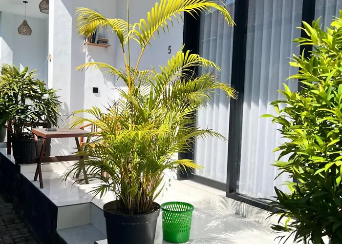 Js Guest House, 2 Minutes Walk To Guest house Seminyak (Bali)