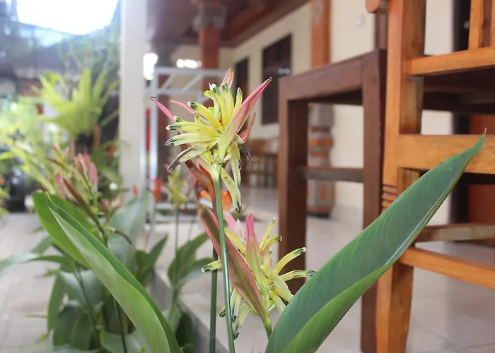 Js Guest House, 2 Minutes Walk To Guest house Seminyak (Bali)